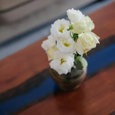 Lazaros Centre Daire *